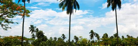 10 Best Clark Hotels, Philippines (From $64) .